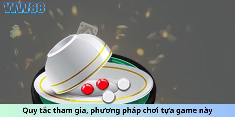 Quy luật cơ bản người tham gia cần hiểu rõ