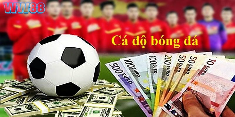 Thông tin hữu ích liên quan đến cá độ bóng đá cho newbie